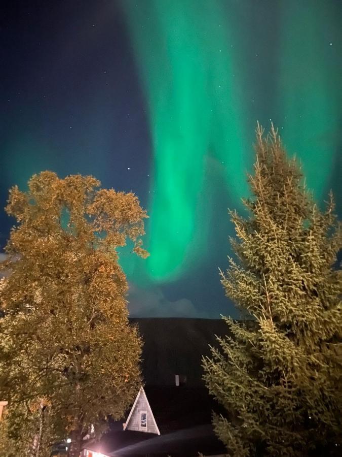 Arctic With Free Parking