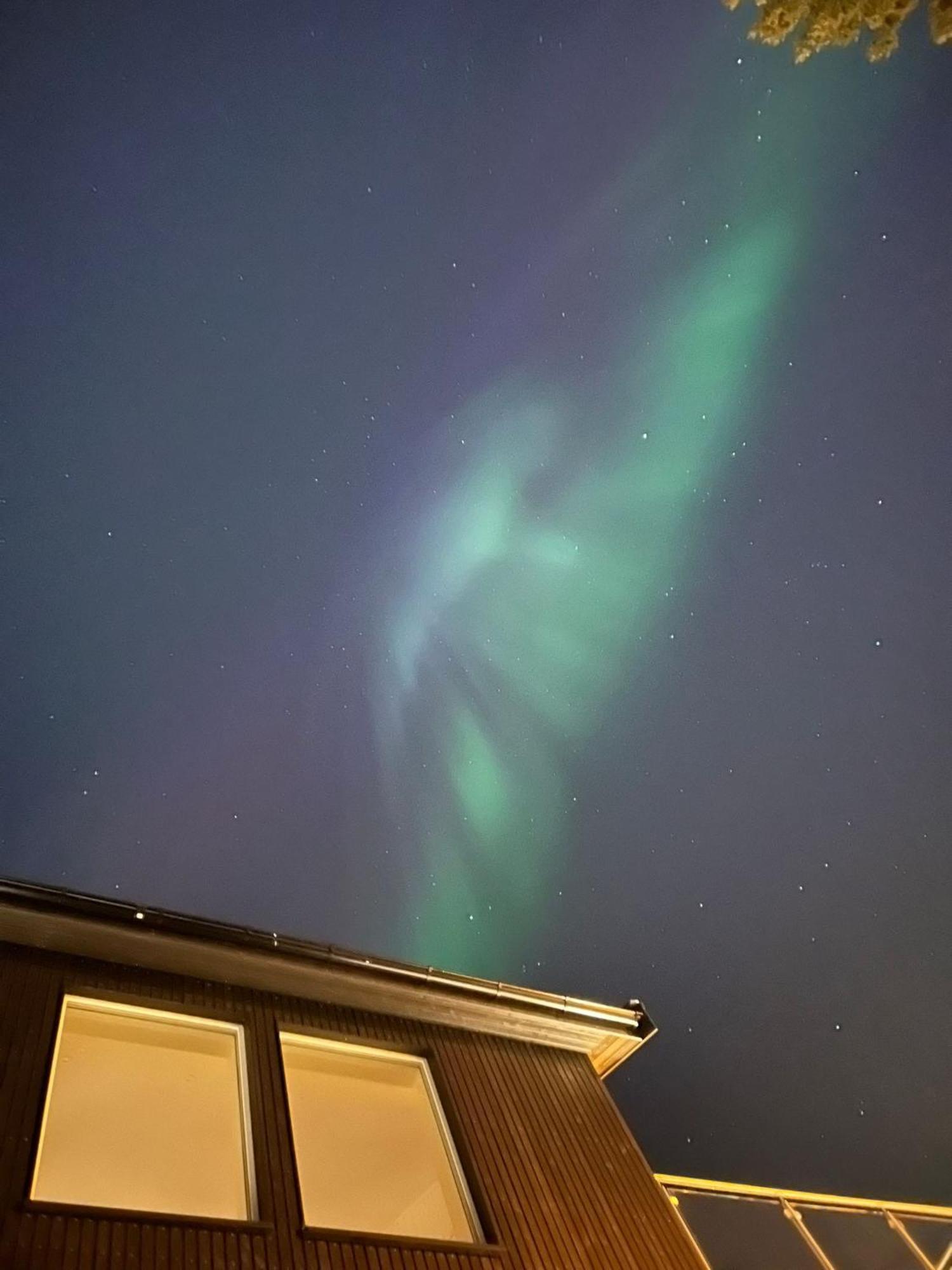 Arctic With Free Parking Apartment