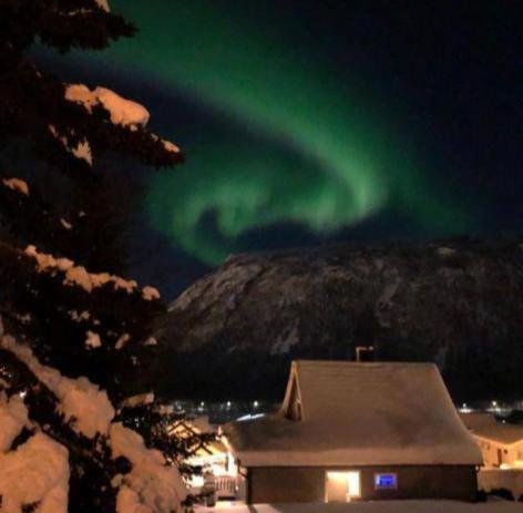 Apartment Arctic With Free Parking Tromso